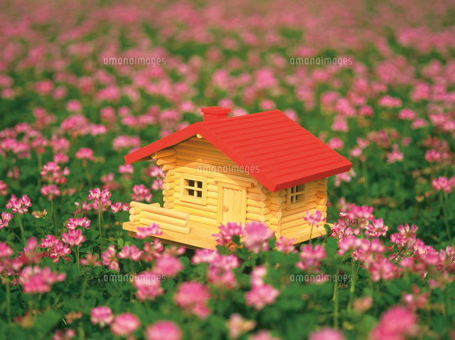 ミニチュアのログハウス の写真素材 イラスト素材 アマナイメージズ