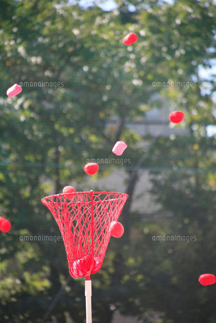 玉入れ の写真素材 イラスト素材 アマナイメージズ