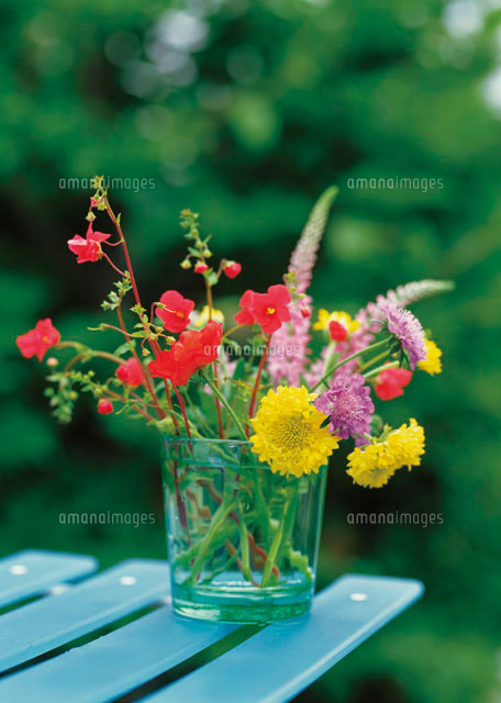 花 の写真素材 イラスト素材 アマナイメージズ