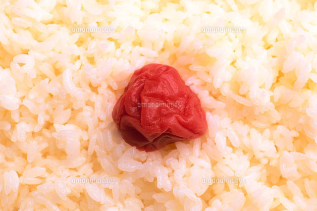 日の丸弁当 の写真素材 イラスト素材 アマナイメージズ 日の丸弁当 の写真素材 イラスト素材 アマナイメージズ