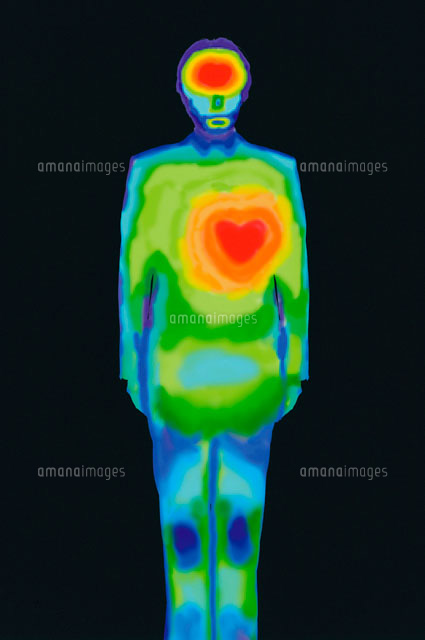 サーモグラフィー の写真素材 イラスト素材 アマナイメージズ