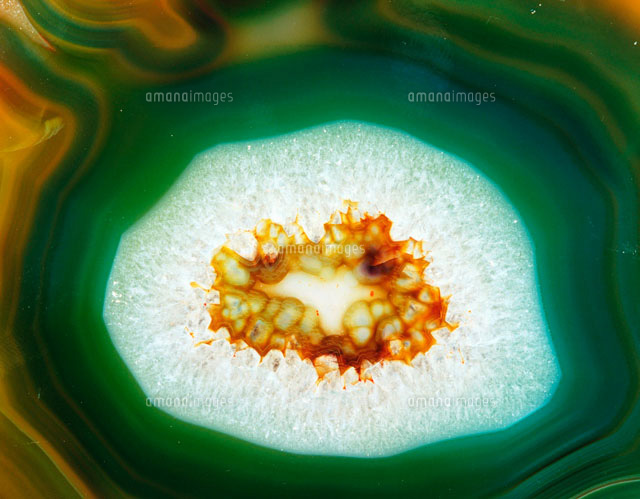 瑪瑙[28144091094]の写真・イラスト素材｜アマナイメージズ