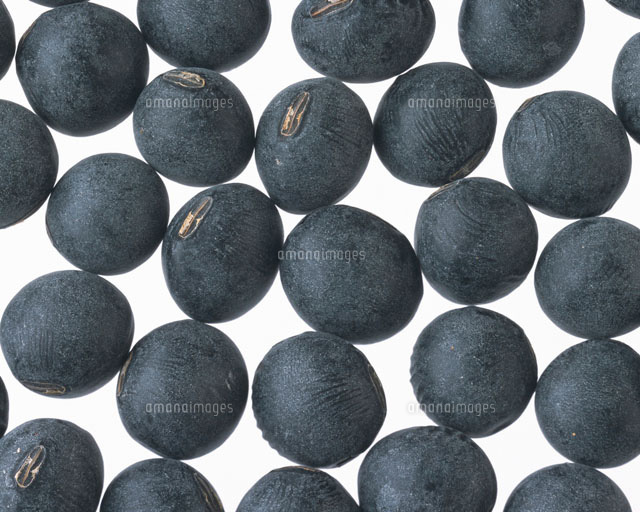 黒豆 の写真素材 イラスト素材 アマナイメージズ