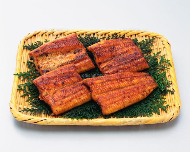 鰻の蒲焼 の写真素材 イラスト素材 アマナイメージズ