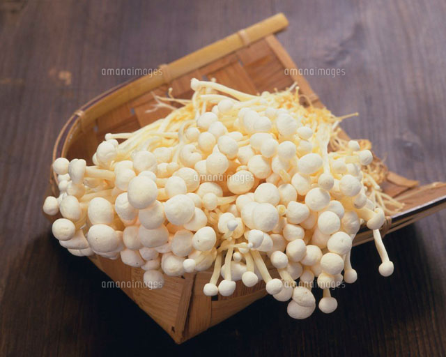 えのき茸 の写真素材 イラスト素材 アマナイメージズ