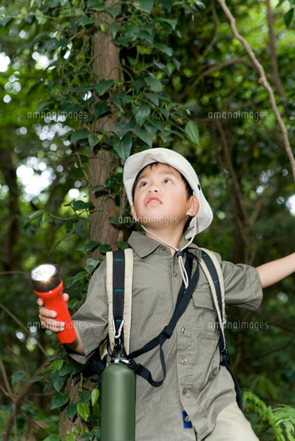 森の中で探検している男の子 の写真素材 イラスト素材 アマナイメージズ