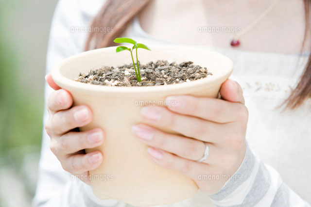 新芽が生えた鉢を持つ女性 の写真素材 イラスト素材 アマナイメージズ