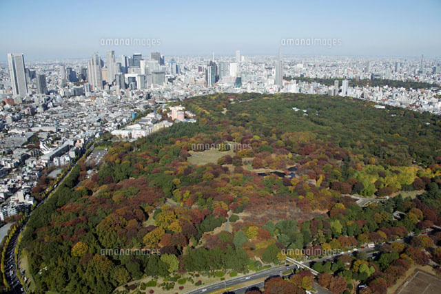 代々木公園周辺の空撮 の写真素材 イラスト素材 アマナイメージズ