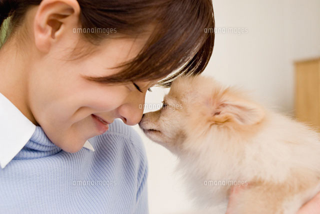 犬と触れ合う女性 の写真素材 イラスト素材 アマナイメージズ