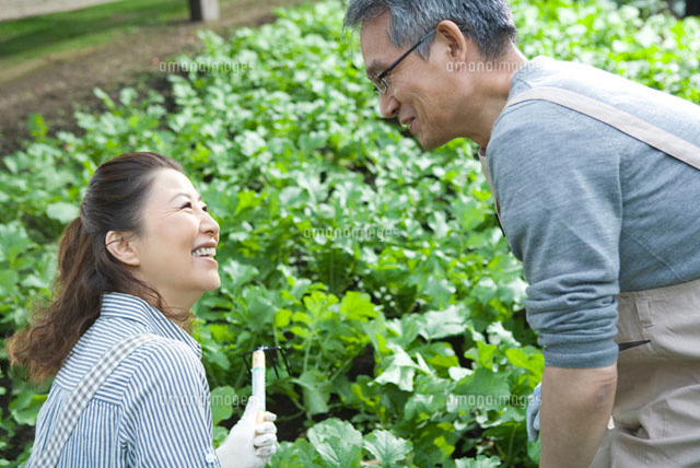 畑仕事をするシニア夫婦 の写真素材 イラスト素材 アマナイメージズ