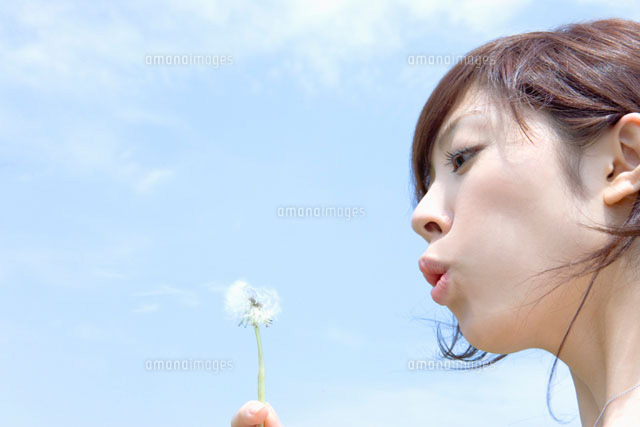 タンポポの綿毛を吹く日本人女性 の写真素材 イラスト素材 アマナイメージズ