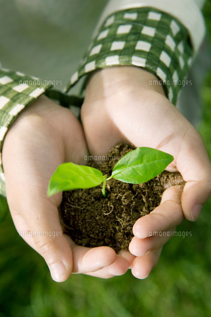 苗木を持つ女の子 の写真素材 イラスト素材 アマナイメージズ