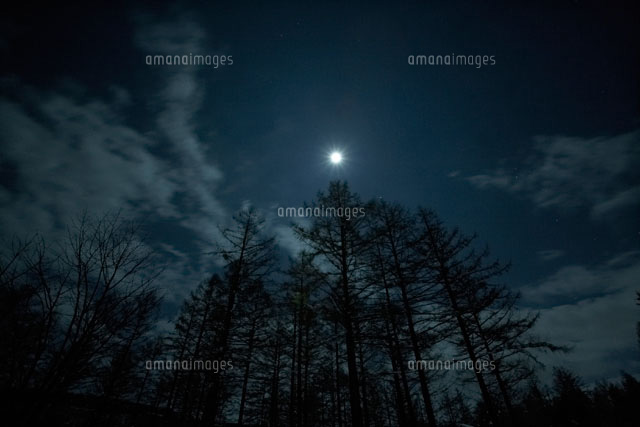 北海道の月夜の雪景色 の写真素材 イラスト素材 アマナイメージズ 北海道の月夜の雪景色 の写真素材 イラスト素材 アマナイメージズ