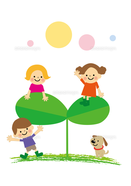 こども エコ 双葉 の写真素材 イラスト素材 アマナイメージズ