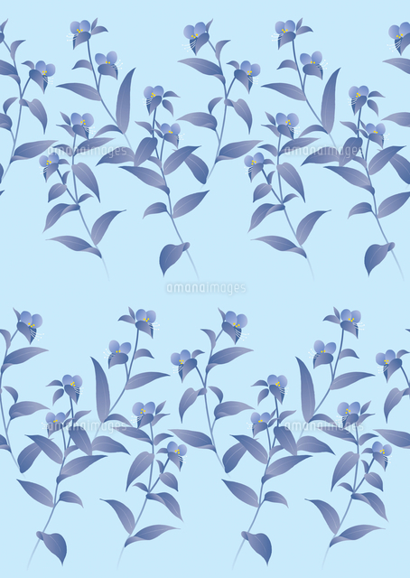 ツユクサ の写真素材 イラスト素材 アマナイメージズ