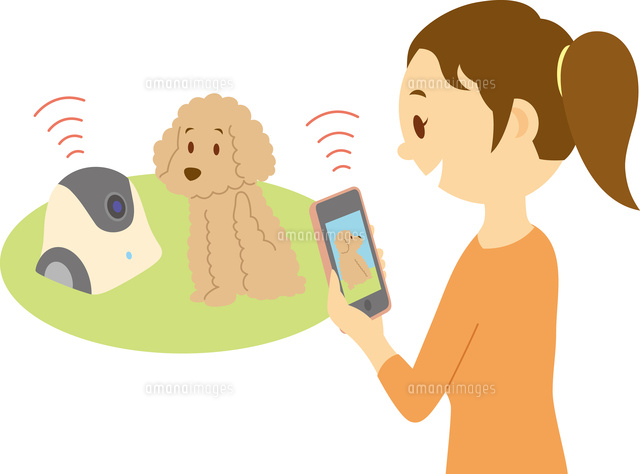 室内のペットの様子を外から映像で確認 の写真素材 イラスト素材 アマナイメージズ