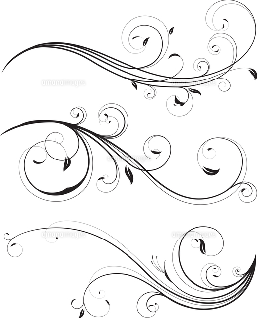 Vector set of swirling flourishes decorative floral elements ...
