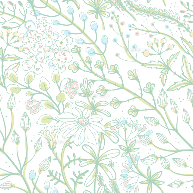 vector floral seamless pattern with wild herbs and flowers[60016021722 ...
