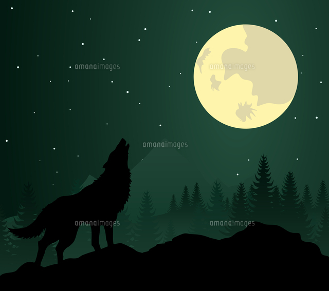Wolf2 Wild Animal With Burning Eyes In Night Darkness Vector Illustration の写真素材 イラスト素材 アマナイメージズ