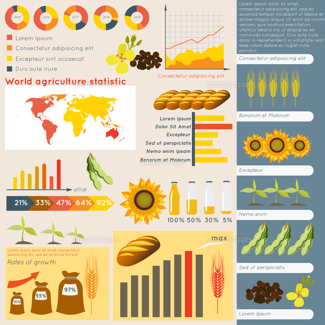Agriculture Farming Organic Food Plant Wheat Sunflower Charts And Graphs Vector Illustration の写真素材 イラスト素材 アマナイメージズ