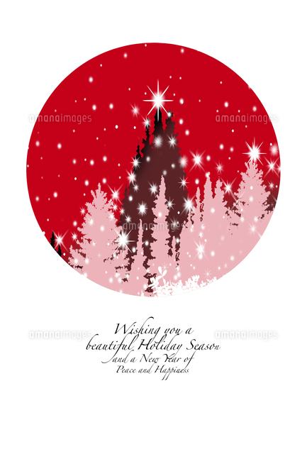 クリスマスカード 雪降る森にクリスマスツリーと光る星 の写真素材 イラスト素材 アマナイメージズ