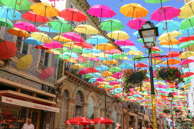 アゲダ　アンブレラフェスタ アゲダ アンブレラフェスタ