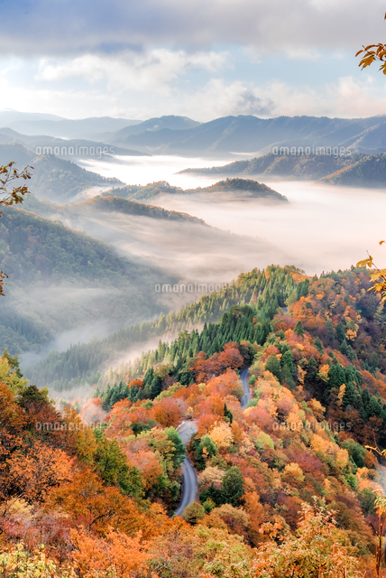 滋賀県の紅葉絶景 の写真素材 イラスト素材 アマナイメージズ