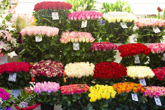 街角の花屋 タリン旧市街 エストニア の写真素材 イラスト素材 アマナイメージズ