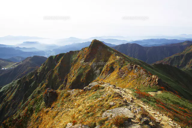 日本100名山谷川岳から天神平と群馬県の山並みを望む[81186001862]の