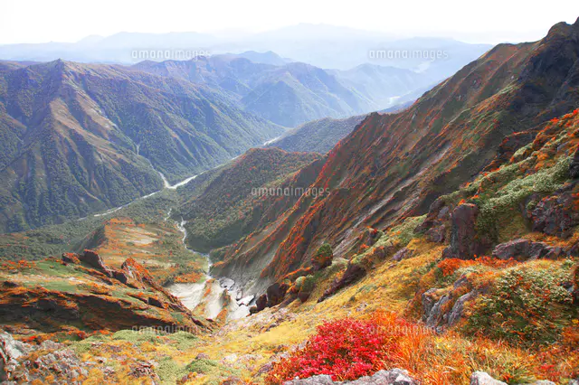 日本100名山谷川岳から天神平と群馬県の山並みを望む[81186001862]の