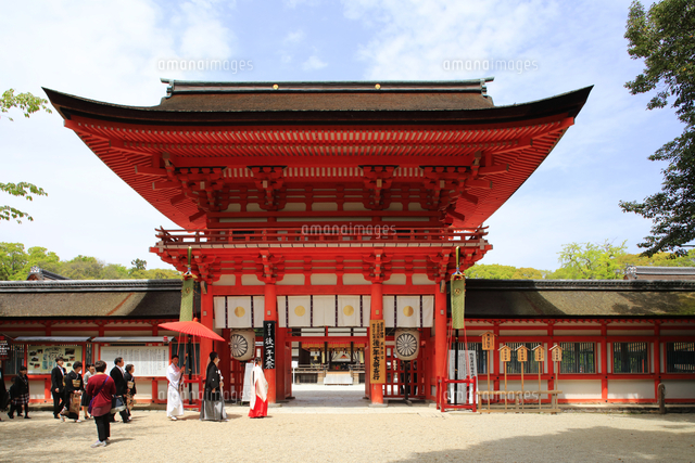 京都下鴨神社 世界遺産の下鴨神社[81186002519]の写真・イラスト素材
