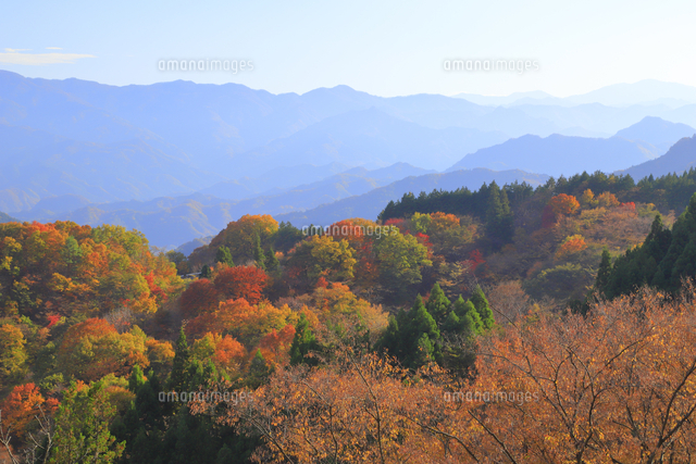 妙義山周辺の紅葉 の写真素材 イラスト素材 アマナイメージズ