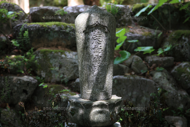 東行庵高杉晋作の愛人梅処尼墓[81522031606]の写真・イラスト