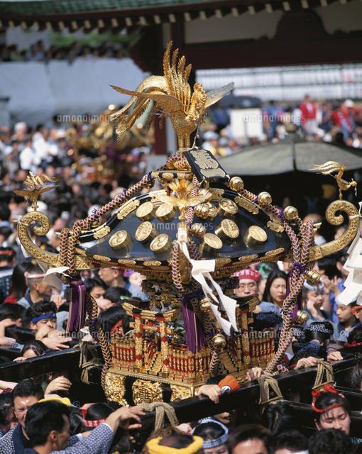 三社祭りの神輿を担ぐ人々 浅草 東京都[81604000056]の写真・イラスト