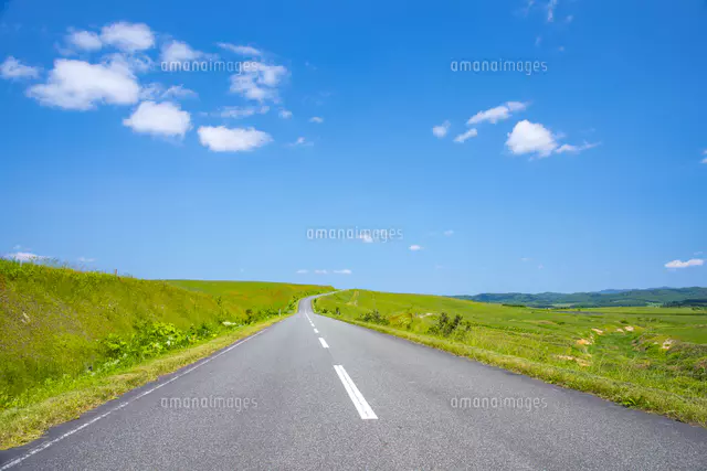 牧草地の道路[81623000189]の写真・イラスト素材｜アマナイメージズ
