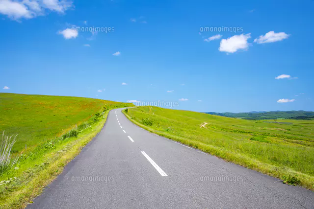牧草地の道路[81623000189]の写真・イラスト素材｜アマナイメージズ