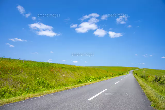 Meadow Road 　牧草地の道 Meadow Road 牧草地の道