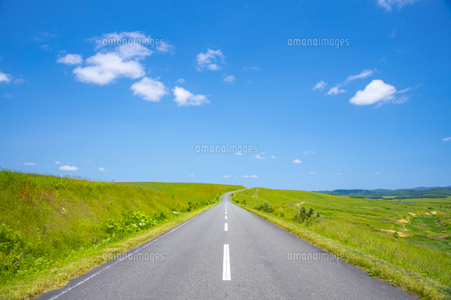 牧草地の道路[81623000188]の写真・イラスト素材｜アマナイメージズ