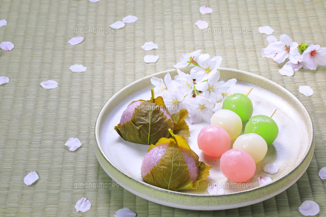 春の和菓子とさくらの花びら の写真素材 イラスト素材 アマナイメージズ