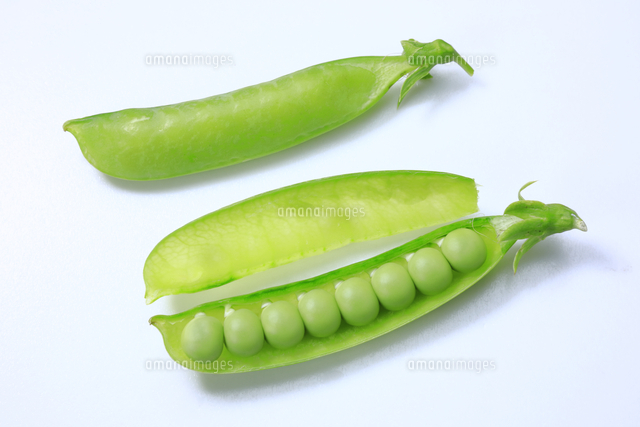 エンドウ豆 の写真素材 イラスト素材 アマナイメージズ