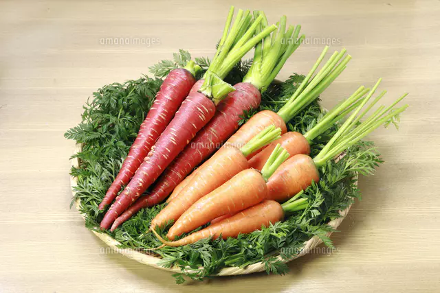 西洋人参の写真素材 ストックフォト アマナイメージズ