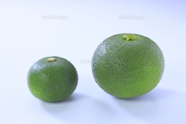 左のスダチと右のカボス の写真素材 イラスト素材 アマナイメージズ