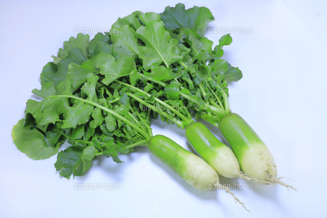 ビタミン大根 の写真素材 イラスト素材 アマナイメージズ