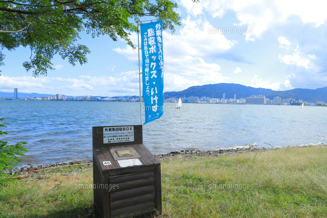 外来魚回収ボックス の写真素材 イラスト素材 アマナイメージズ