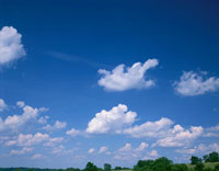 01970009187.jpg