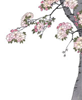 浮世絵 武士 桜背景　木製壁掛け 浮世絵 武士 桜背景 木製壁掛け 桜とともに江戸をめぐる｜今につながる