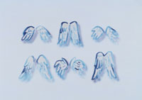 天使の羽 イラスト の写真素材 イラスト素材 アマナイメージズ