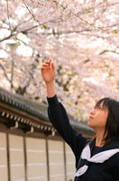 日本画 桜の枝を持つ女性 Unknown_artist_-