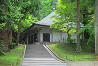 中尊寺金色堂新緑 油彩画・油絵 中尊寺金色堂新緑 油彩画・油絵（中尊寺金色堂新緑 油彩画・油絵）
