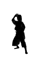 武道の写真素材 ストックフォト アマナイメージズ